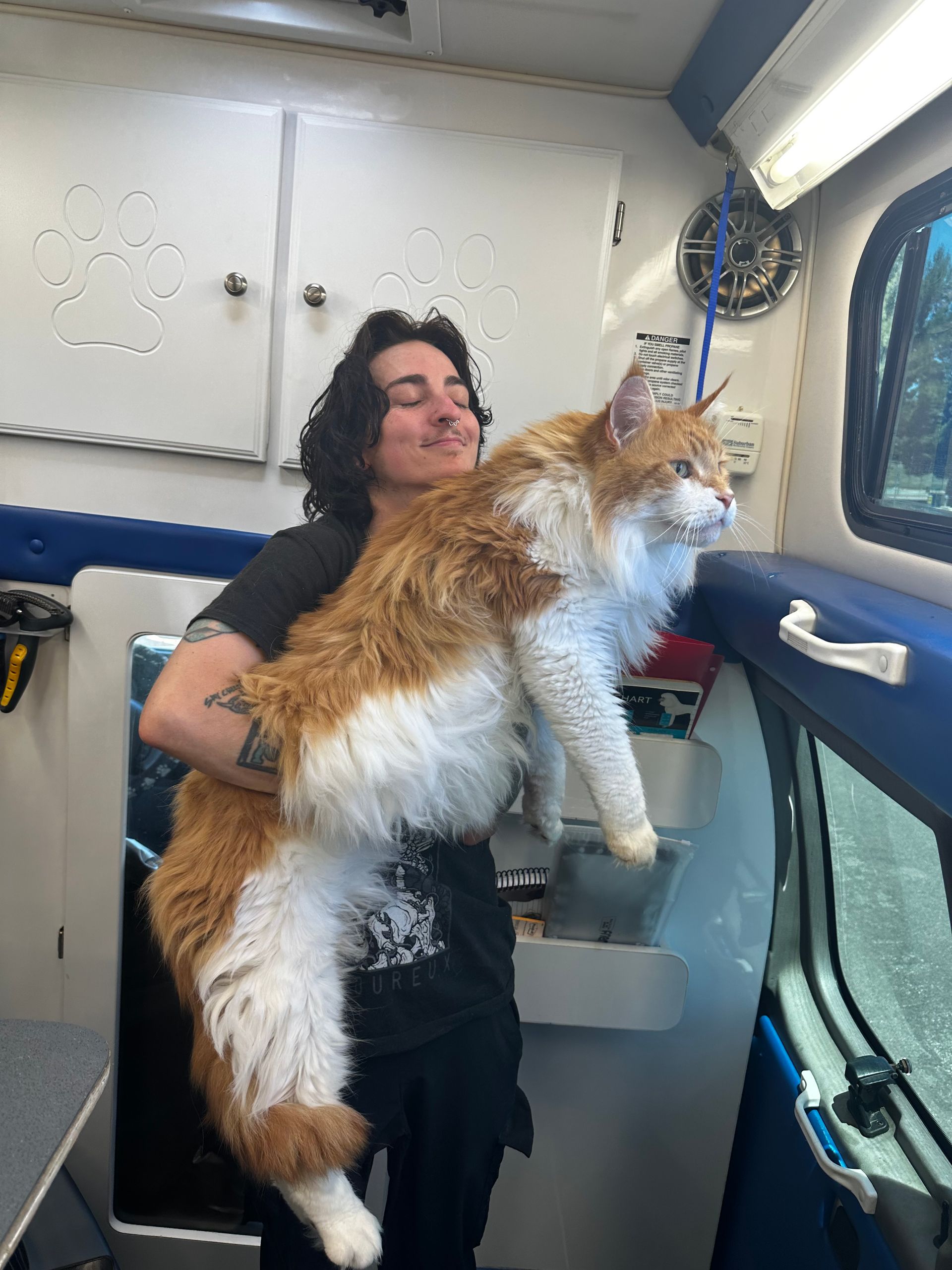 Brandon holding a calm Maine Coon looking out the van window after a cat grooming in Cameron Park, California.