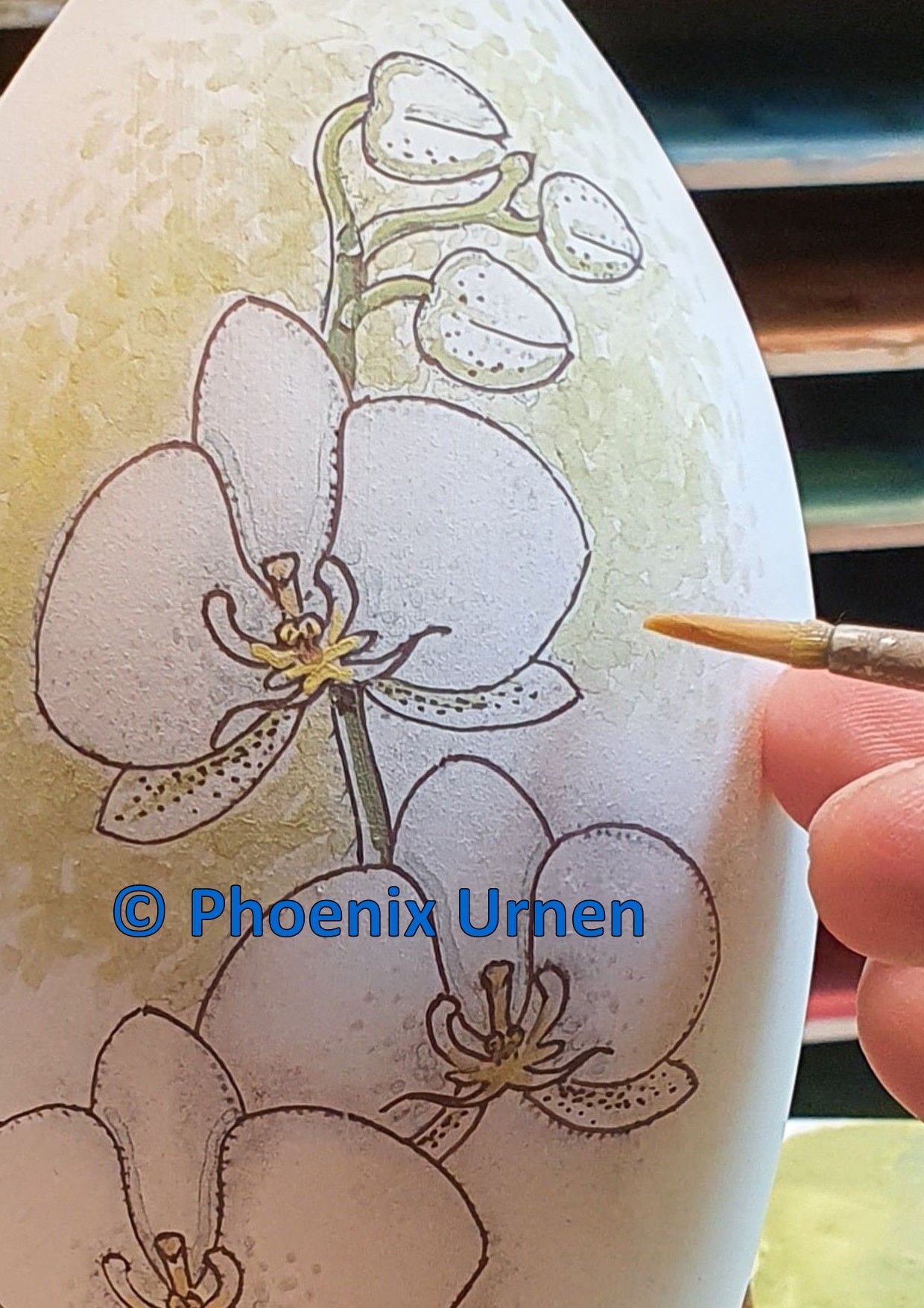 schilderproces urn orchidee wit