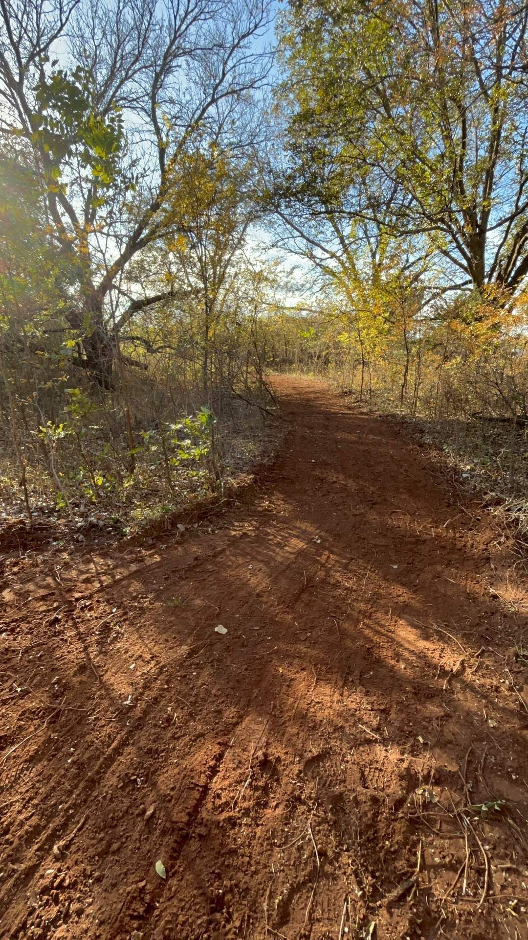 A dirt path winds through a wooded area with trees transitioning to autumn colors under a bright blue sky.