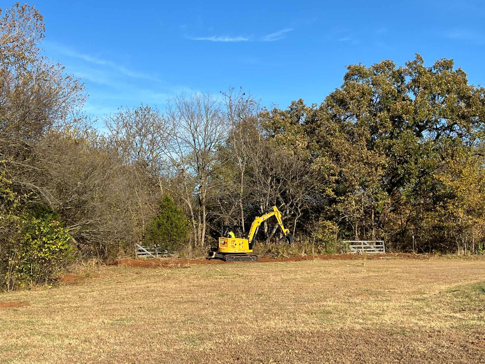 A yellow excavator works on clearing a patch of land at the edge of a wooded area under a clear blue sky.