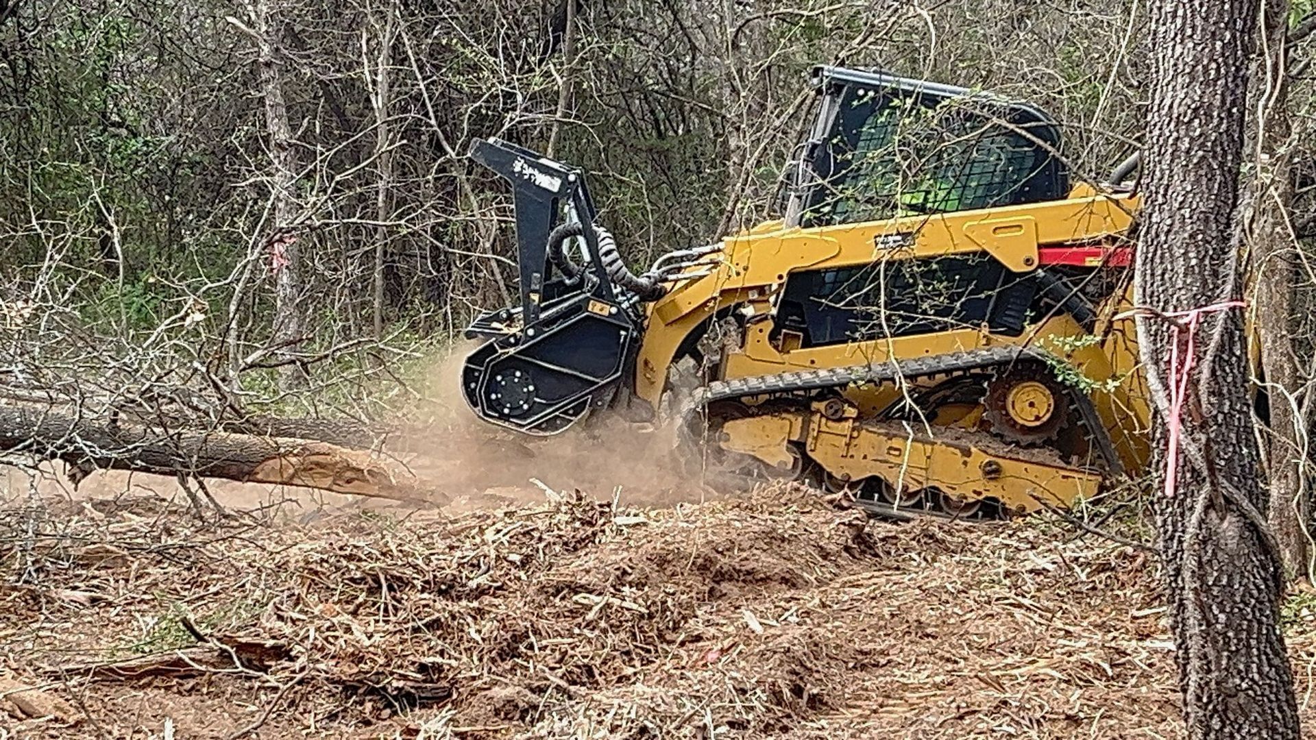A yellow track loader mulcher shreds a fallen log in a wooded area, kicking up debris.