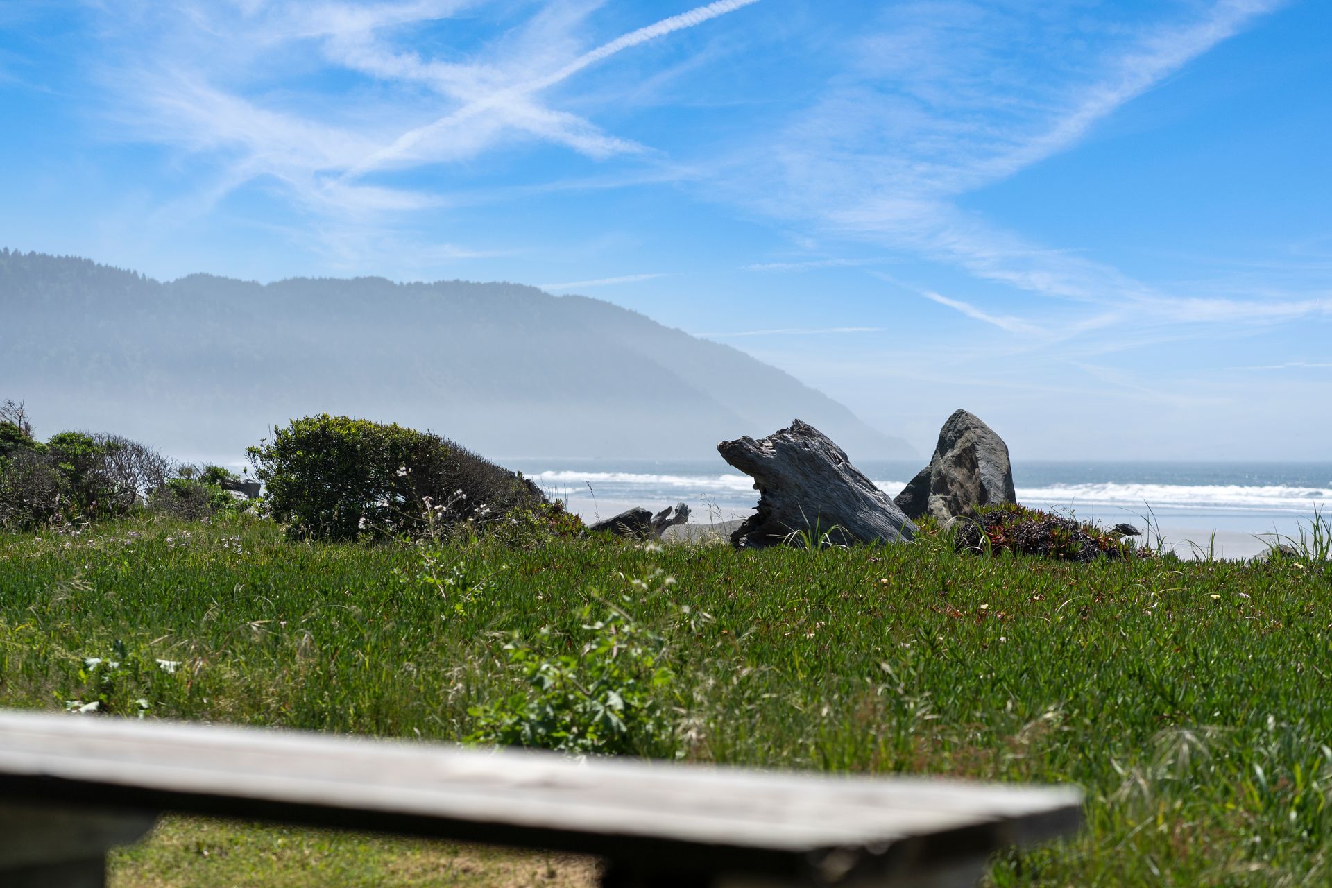 Grassy coastal scene; ocean waves, rocky outcropping, distant hazy mountain, blue sky with contrails.