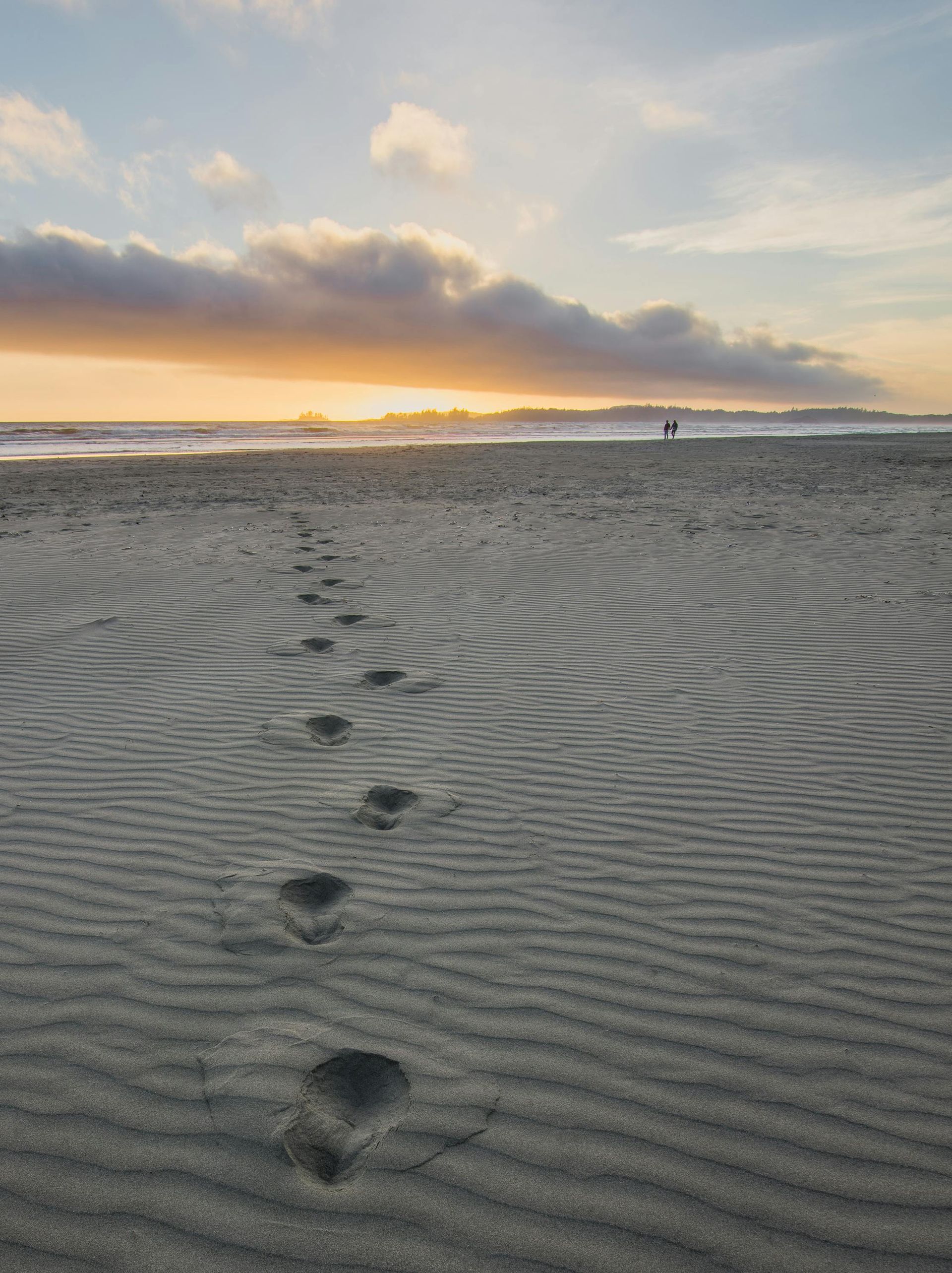 Footprints in the sand leading toward the ocean at sunset.