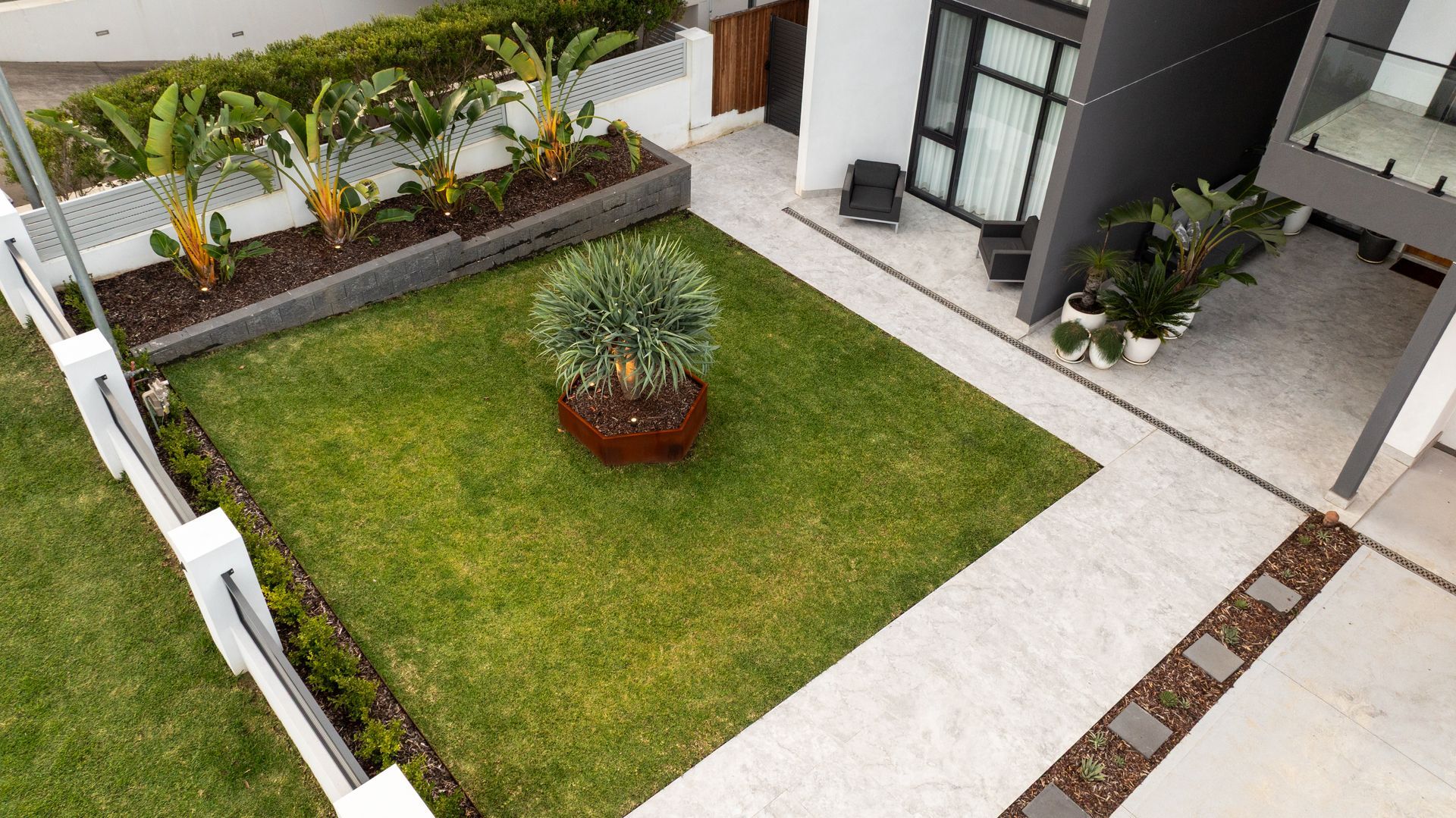 An aerial view of a lush green lawn and dragon tree in front of a house.