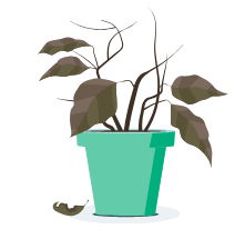 servicios de psicología