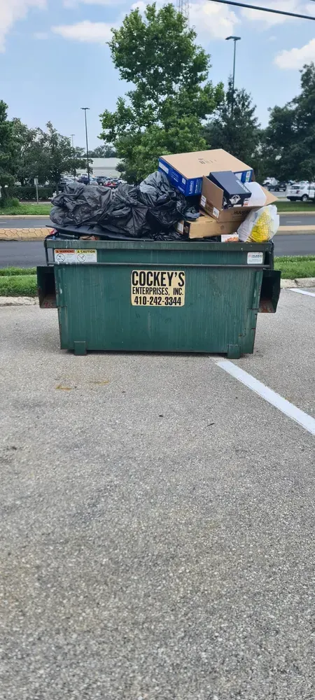 Green dumpster overflowing with trash on a paved surface, with trees and a blue sky in the background.