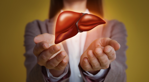 Person holding a glowing liver illustration in cupped hands.
