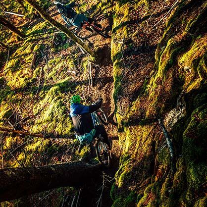 Mountain bikers on a mossy cliffside trail in a forest, one rider in green helmet.