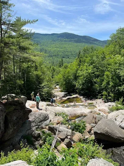 Chimney-Sweep-Portland-Boys play basketball in a gymnasium with a wooden floor and a basketball hoop visible.