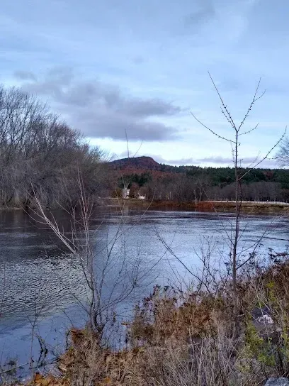 Chimney-Sweep-Portland-Calm lake surrounded by lush green trees under a blue sky with fluffy clouds.