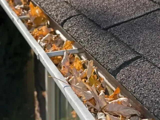 Chimney-Sweep-Portland - Clogged gutter filled with fallen autumn leaves beneath a shingled roof.