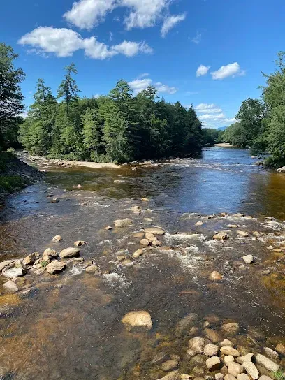 Chimney-Sweep-Portland-Clear, shallow river flowing over numerous rocks surrounded by dense green forest under a bright blue sky with scattered white clouds.