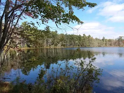 Chimney-Sweep-Portland-Tranquil lake reflects a forest shoreline under a partly cloudy sky.