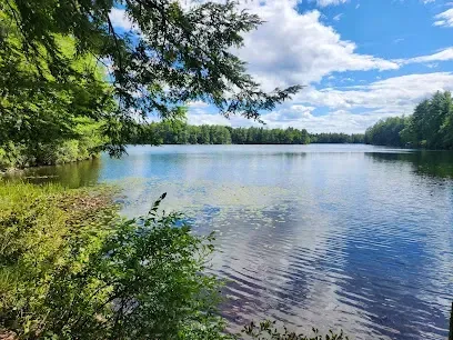 Chimney-Sweep-Portland-Calm lake surrounded by lush green trees under a blue sky with fluffy clouds.