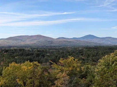 Chimney-Sweep-Portland-Expansive view of forested hills and distant mountains under a clear blue sky. The scene conveys a calm, peaceful atmosphere with autumn hues.