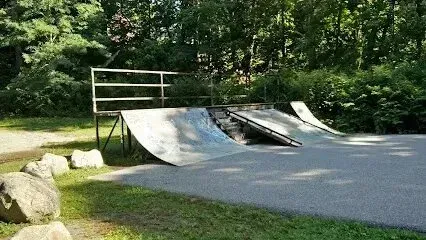 Chimney-Sweep-Portland-A skatepark with ramps and a railing surrounded by trees and grass.