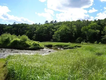 Chimney-Sweep-Portland-A serene landscape featuring a grassy field, a small stream, and a dense green forest under a blue sky with fluffy white clouds.