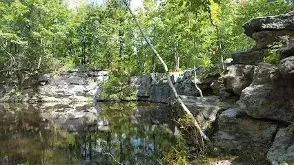 Chimney-Sweep-Portland-A pond surrounded by rocks and trees in the middle of a forest.