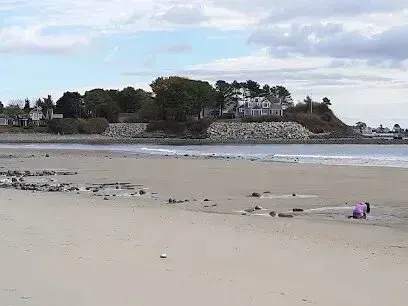 Chimney-Sweep-Portland-A sandy beach with tide pools and a person in purple overlooks a tree-lined hill with houses and the ocean.
