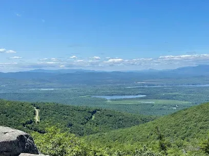 Chimney-Sweep-Portland-Expansive mountain view under a clear blue sky, with lush green forests and distant lakes, conveying a sense of tranquility and vastness.