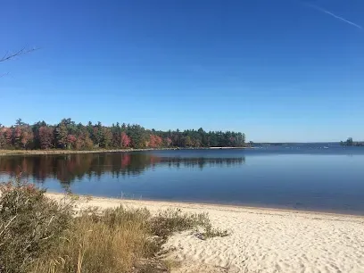 Chimney-Sweep-Portland-Long wooden covered bridge spans a flowing river under a dramatic cloudy sky, surrounded by lush green trees.