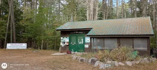 Chimney-Sweep-Portland-A rustic cabin with a green roof and doors stands in a forest clearing. The cabin is surrounded by trees and shrubs, creating a peaceful, natural setting.