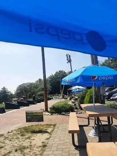 Chimney-Sweep-Portland-A blue pepsi umbrella is hanging over a picnic table