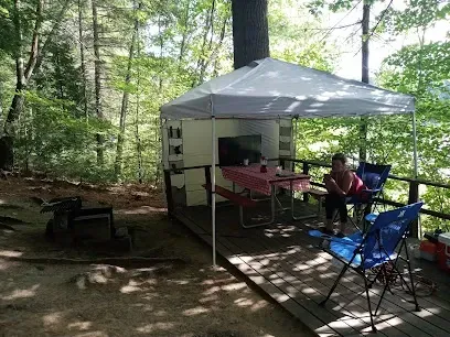 Chimney-Sweep-Portland-Clear, shallow river flowing over numerous rocks surrounded by dense green forest under a bright blue sky with scattered white clouds.