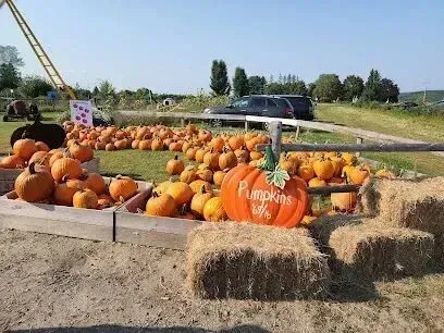 Chimney-Sweep-Portland-A pumpkin patch filled with pumpkins and hay bales.