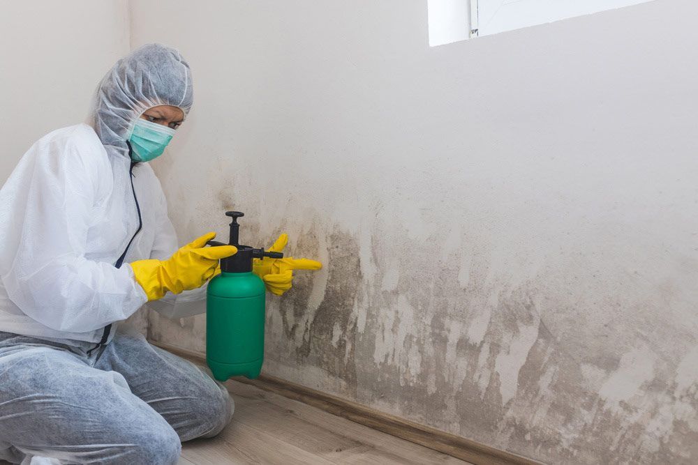 A Man In A Protective Suit Is Spraying Mold On A Wall — NJP Services In Coniston, NSW