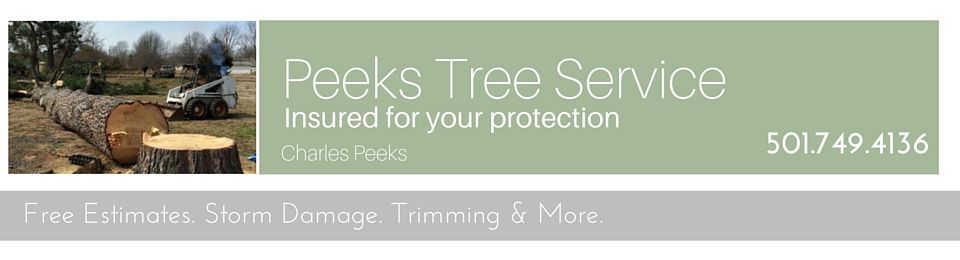 A business card for Pooks Tree Service with a photo of a cut log and contact info: 501.749.4136. Offers free estimates.