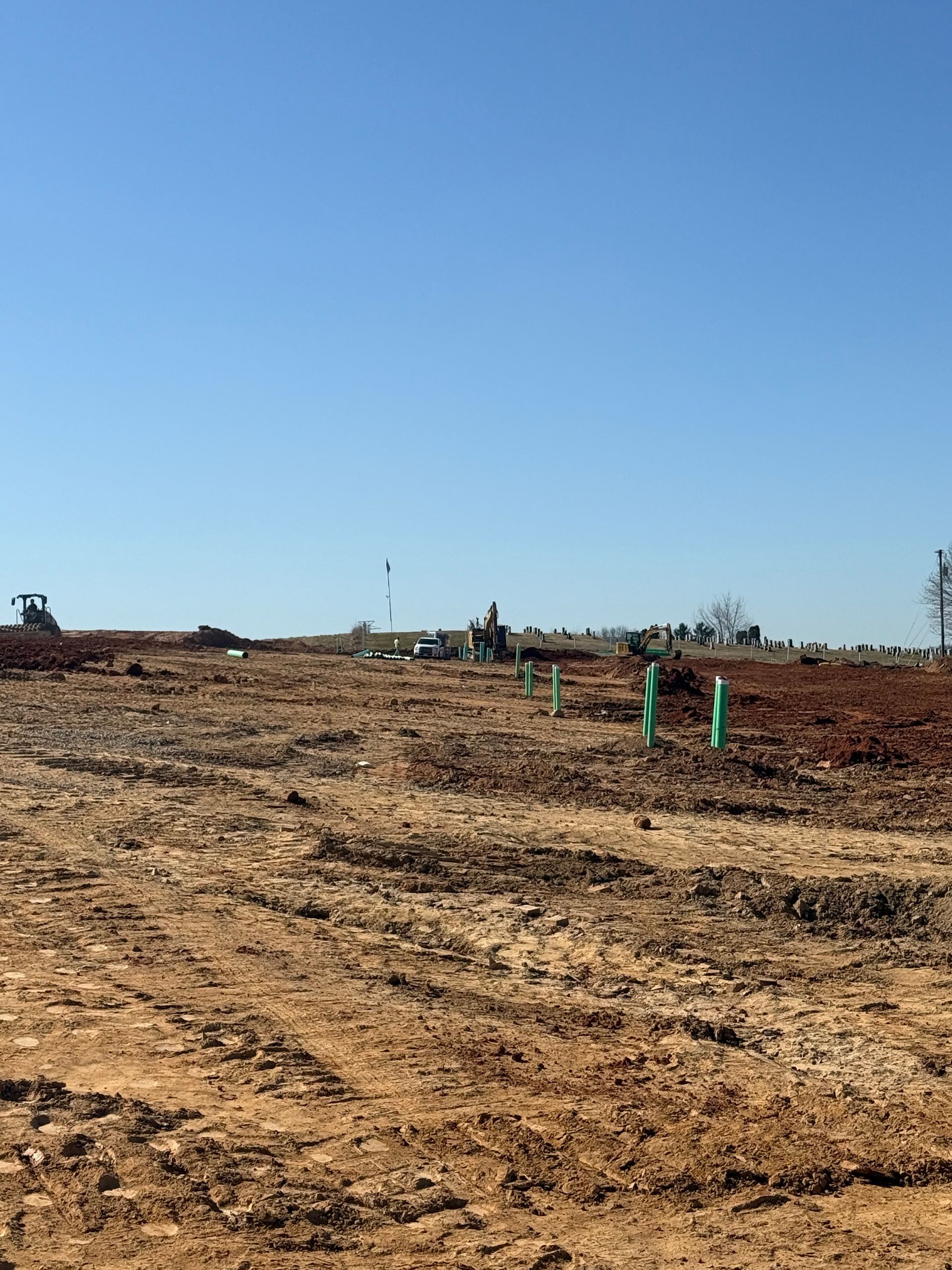 A yellow excavator is digging a hole in the dirt in the middle of a forest.