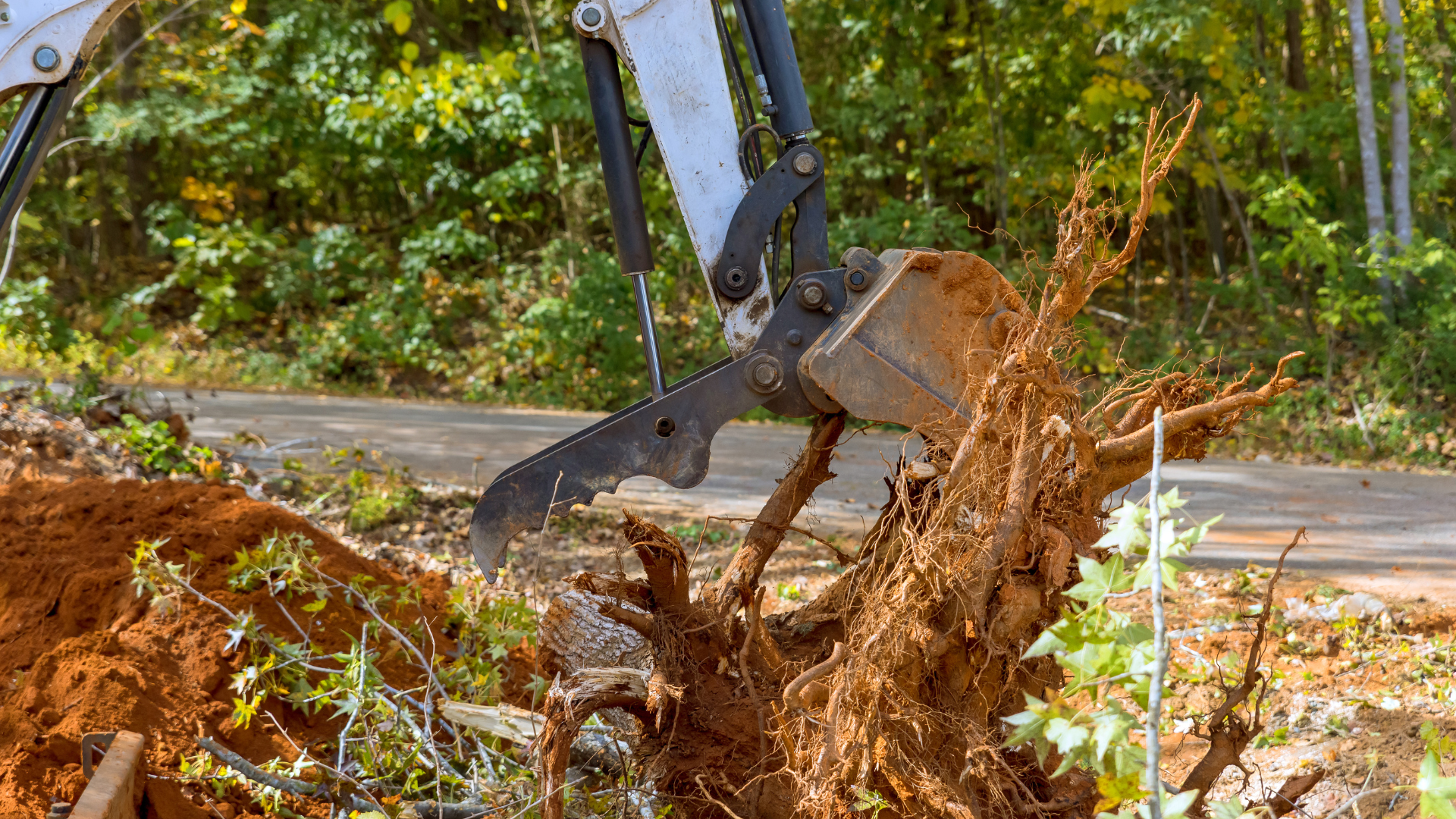 A large tree stump is being removed by a bulldozer.