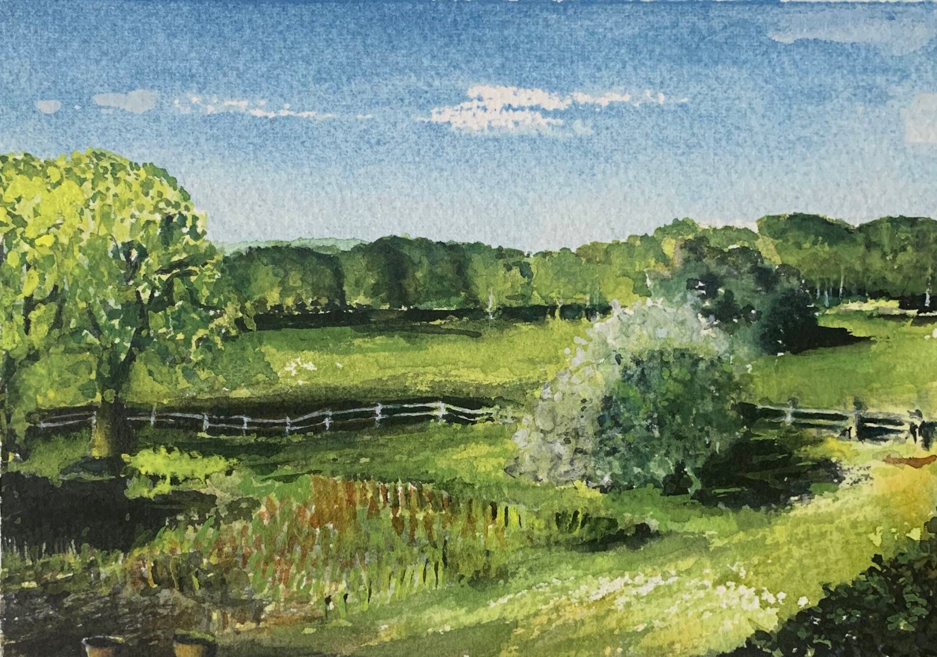 Garden View, watercolour, 7 x 5, framed