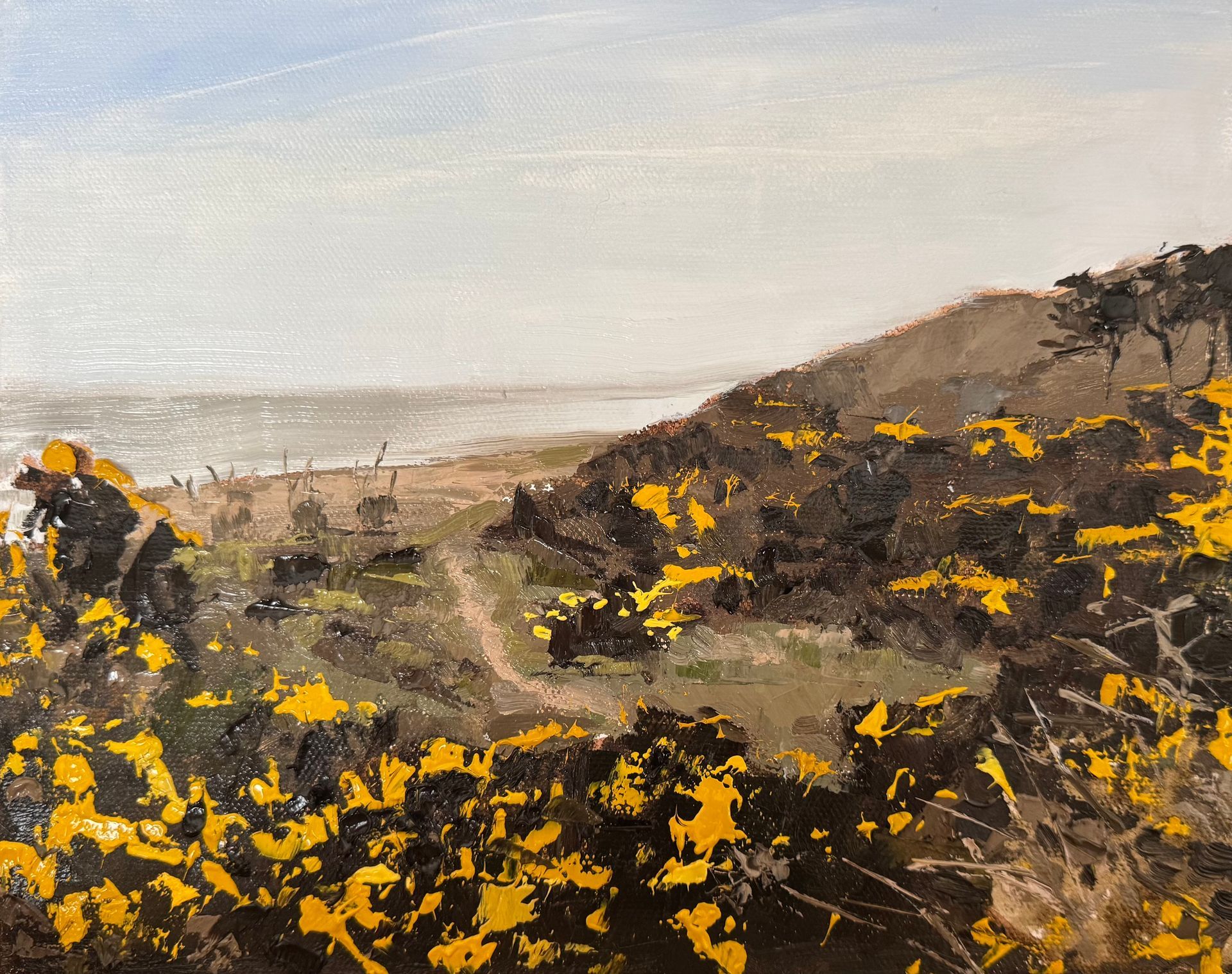 SOLD - Gorse in Spring, Sizewell, oil on board, 24.4 x 19.4cm, framed