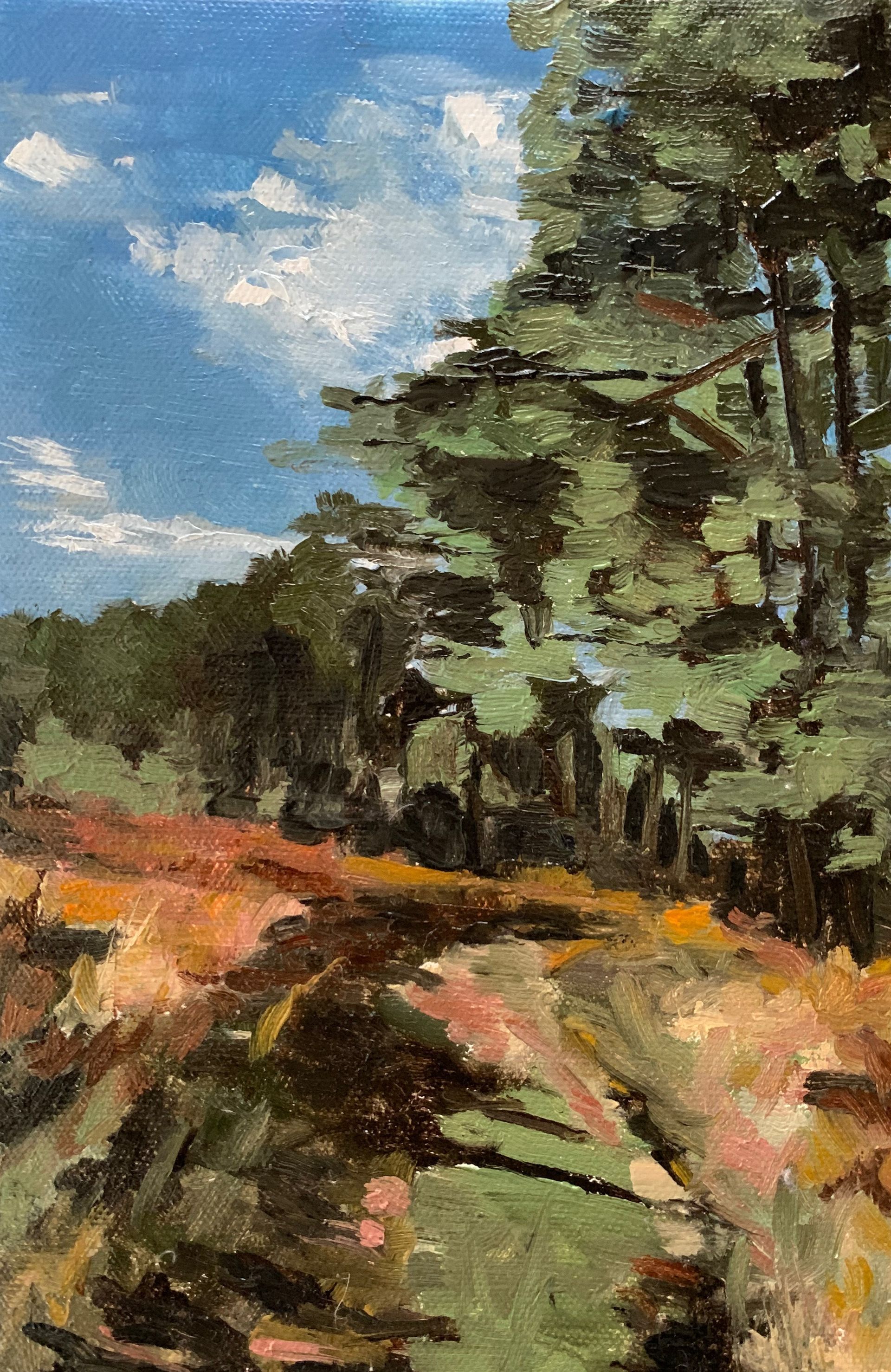 3. Tunstall Forest Path, oil on canvas, 14.2 x 21.5cm, framed