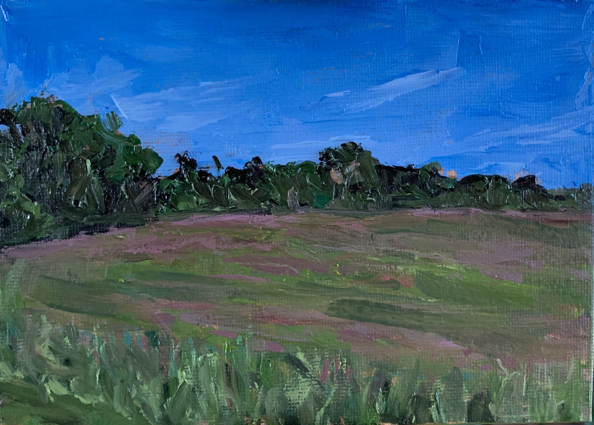 Blue Sky, Rendham, oil on canvas, 16.5 x 11.8cm, framed