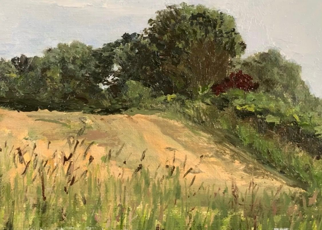 Summer Field, Rendham, oil on canvas, 19.3 x 14.5cm, framed
