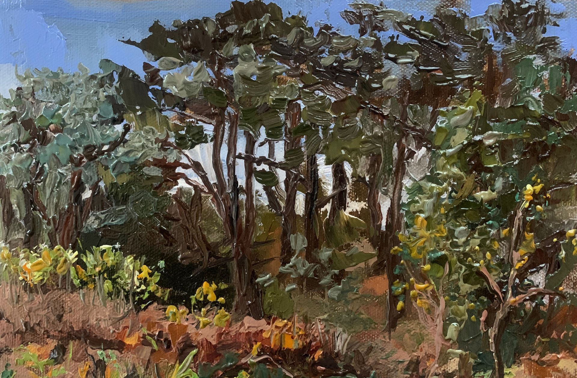 SOLD - Light in Trees, Tunstall Forest, oil on canvas, 21 x 14cm, framed