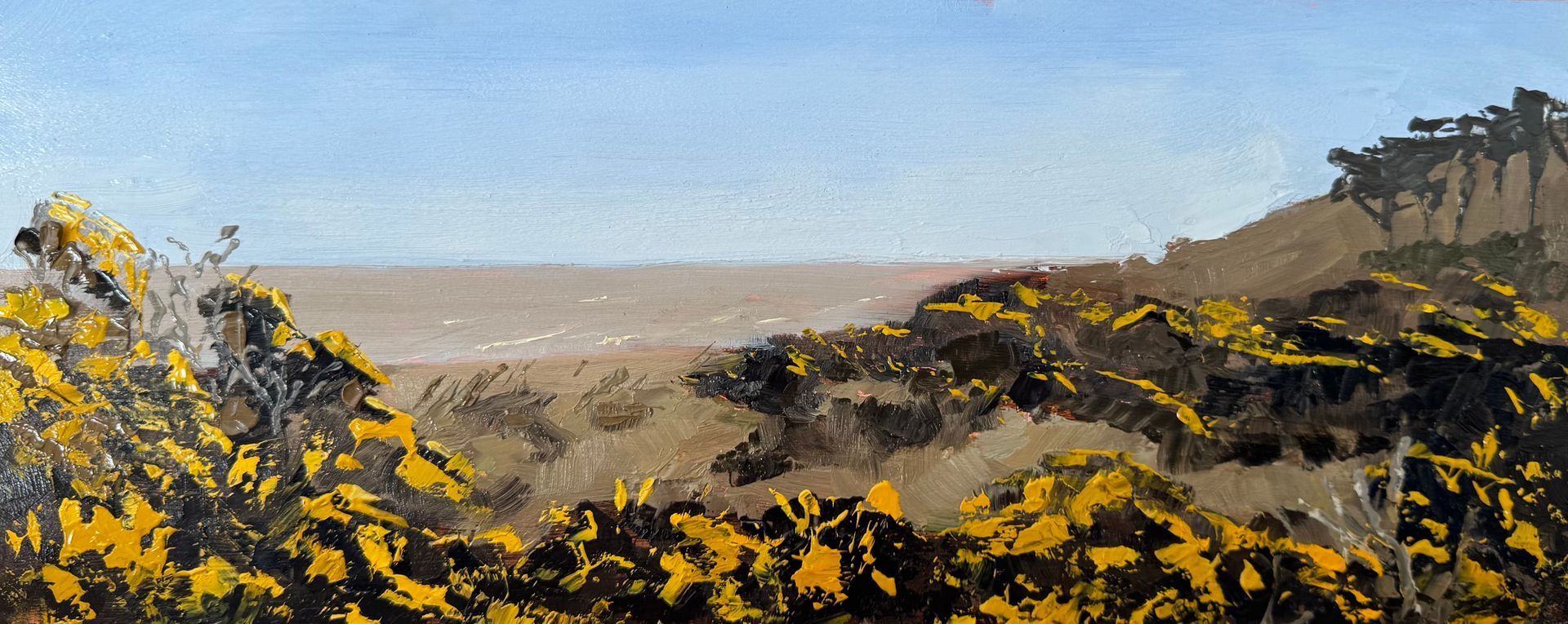 Spring Gorse, Sizewell, oil on board, 33.5 x 12.7cm, framed