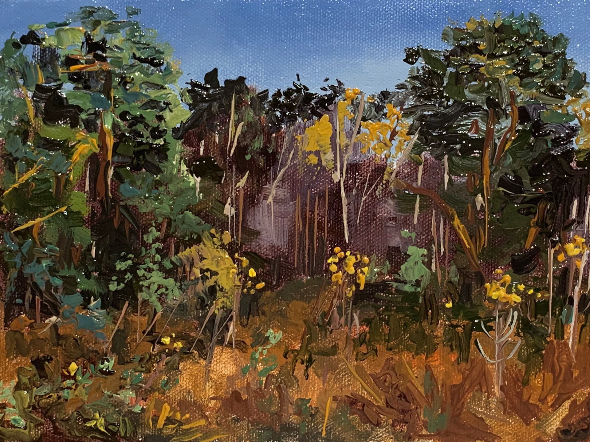 Woodland Colours, Tunstall Forest, oil on canvas, 19 x 14cm, framed