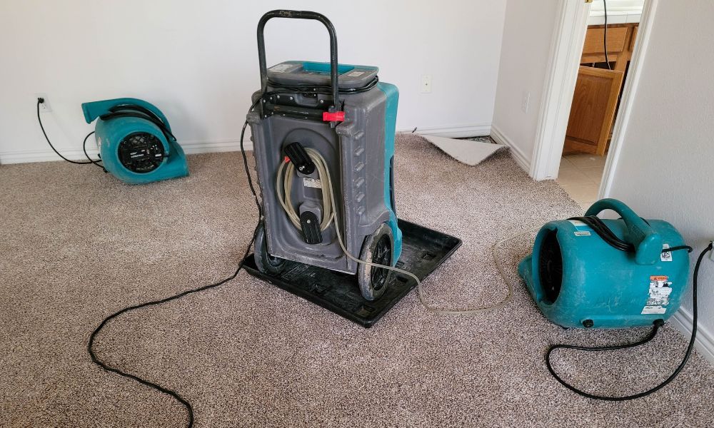 A room with a carpet and a vacuum cleaner on the floor.