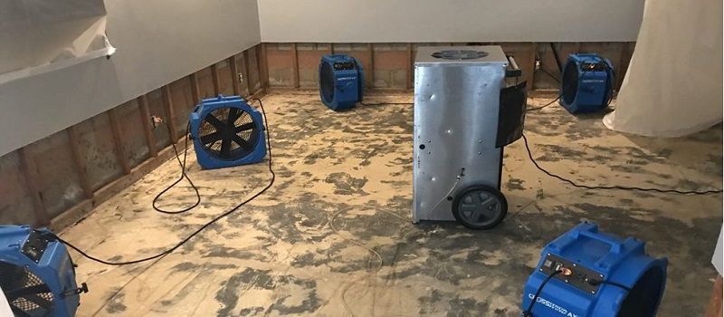 A room with a lot of fans on the floor.