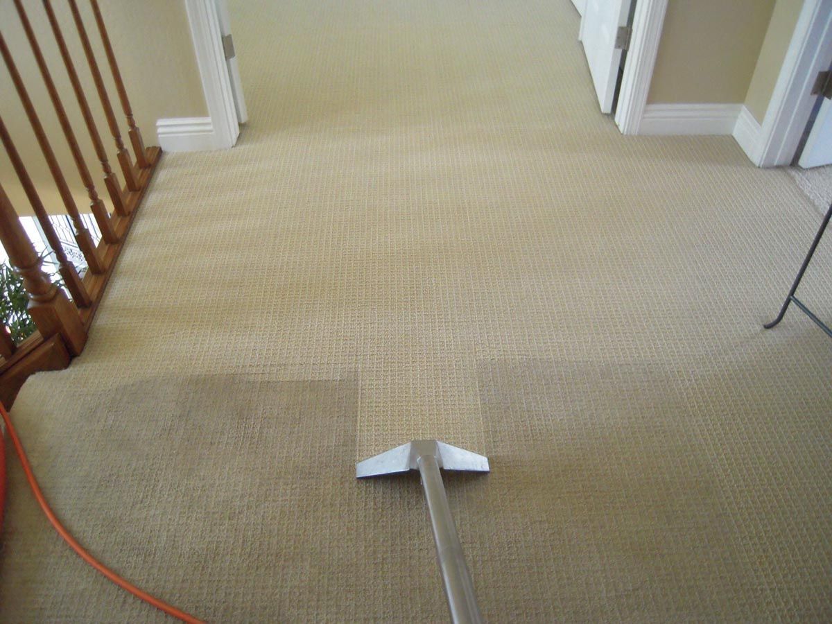 A vacuum cleaner is cleaning a carpet in a hallway.