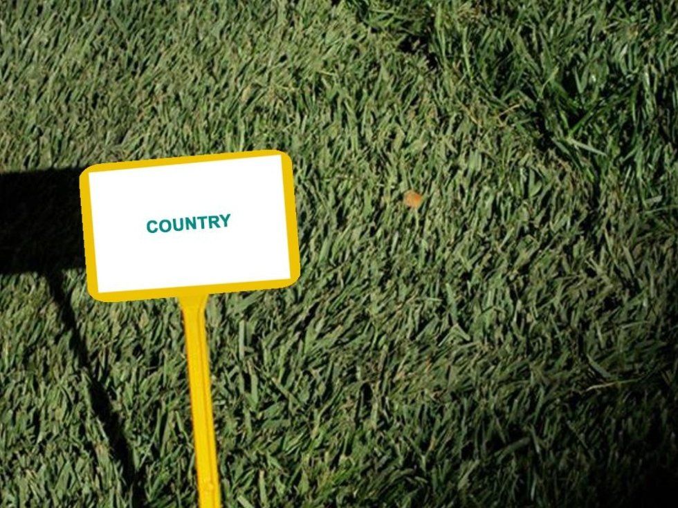 prato a rotoli modello Country