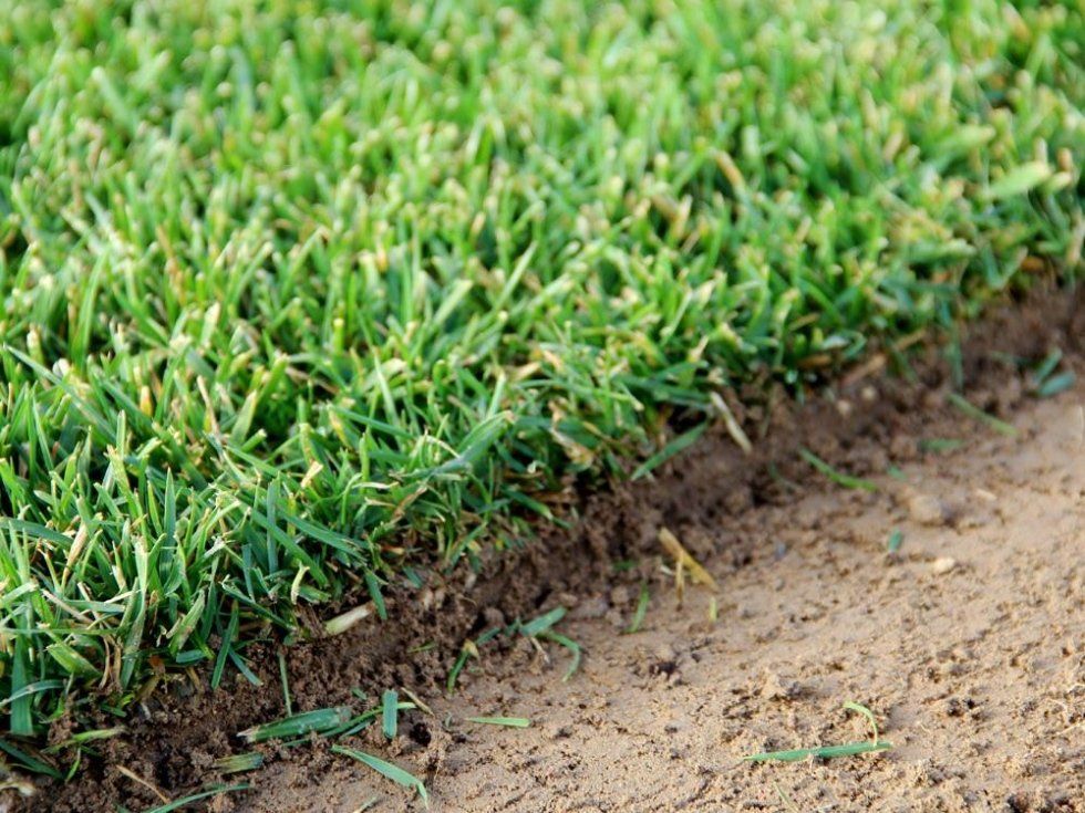 dettaglio di un prato a rotoli