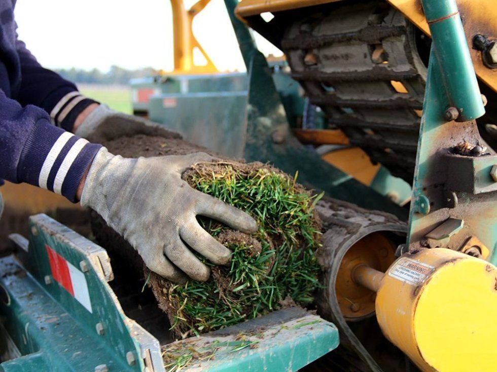 operazioni tecniche di posa prato in rotoli