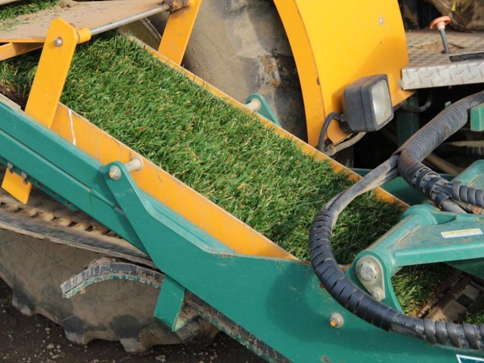 macchina agricola per la posa del prato