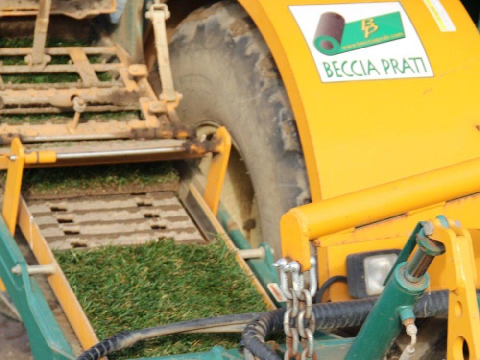 posa di pezzi di prato a rotoli