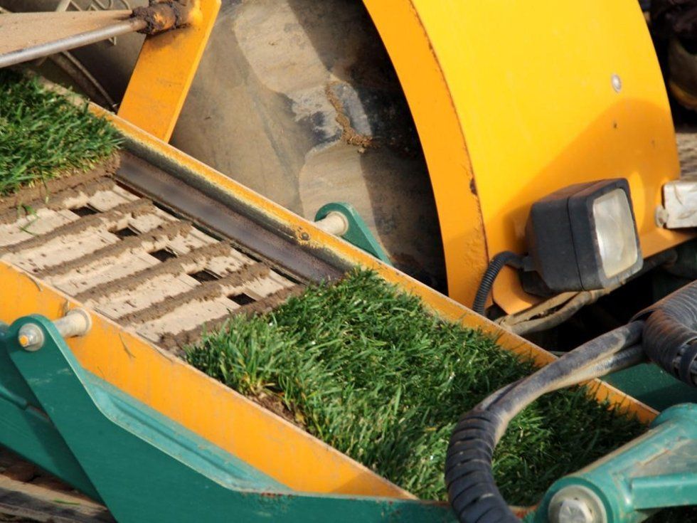 macchina agricola per la posa del prato